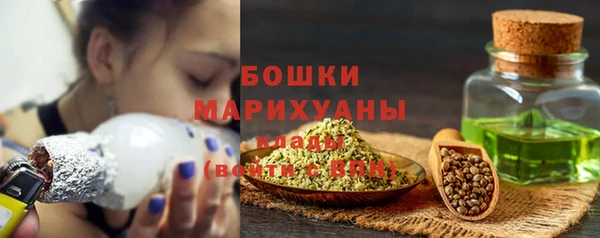 крисы Майский