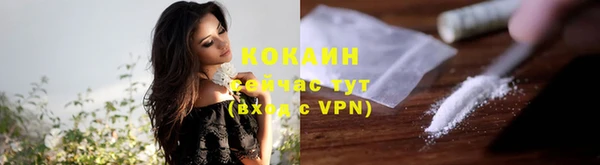 крисы Майский