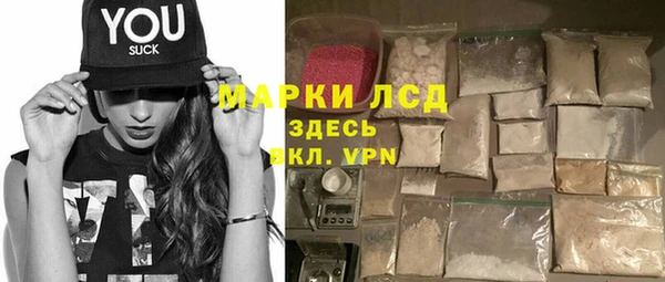 ГАЛЛЮЦИНОГЕННЫЕ ГРИБЫ Лагань