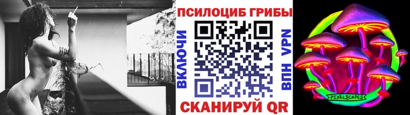 Купить закладки  Апшеронск  Псилоцибиновые грибы мицелий 